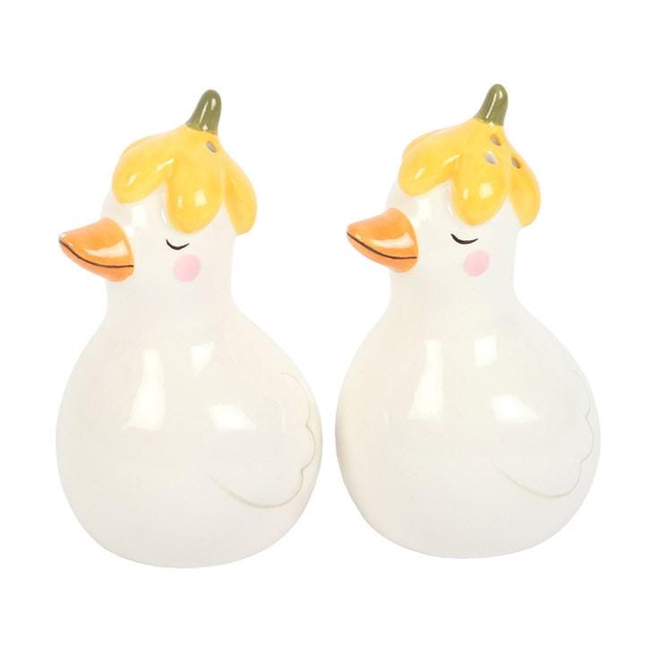 Daisy and Duck Ceramic Salt & Pepper Shakers Set, Farmhouse Kitchen Gift