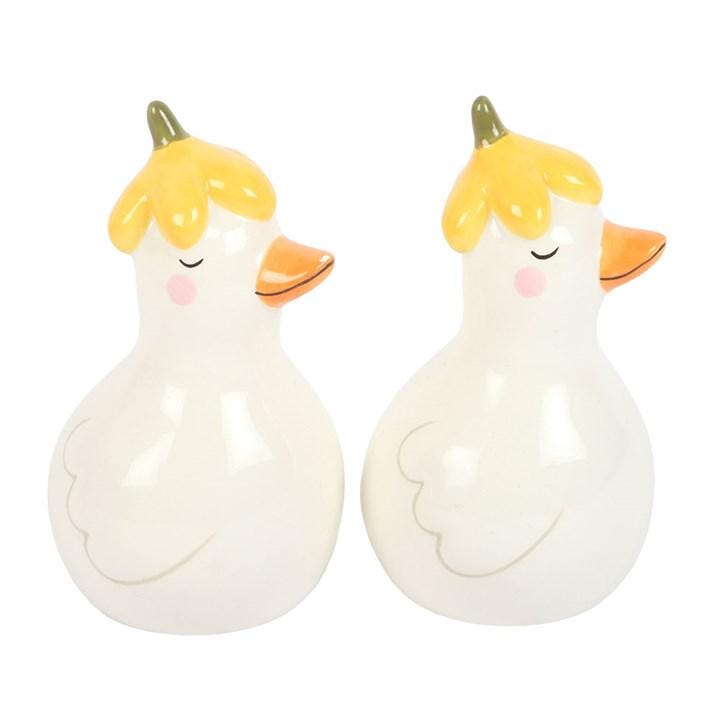 Daisy and Duck Ceramic Salt & Pepper Shakers Set, Farmhouse Kitchen Gift