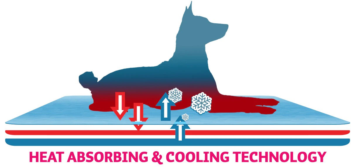 Smart Choice Small Pet Cooling Mat 40 x 50cm with Blue Paw & Bone Pattern