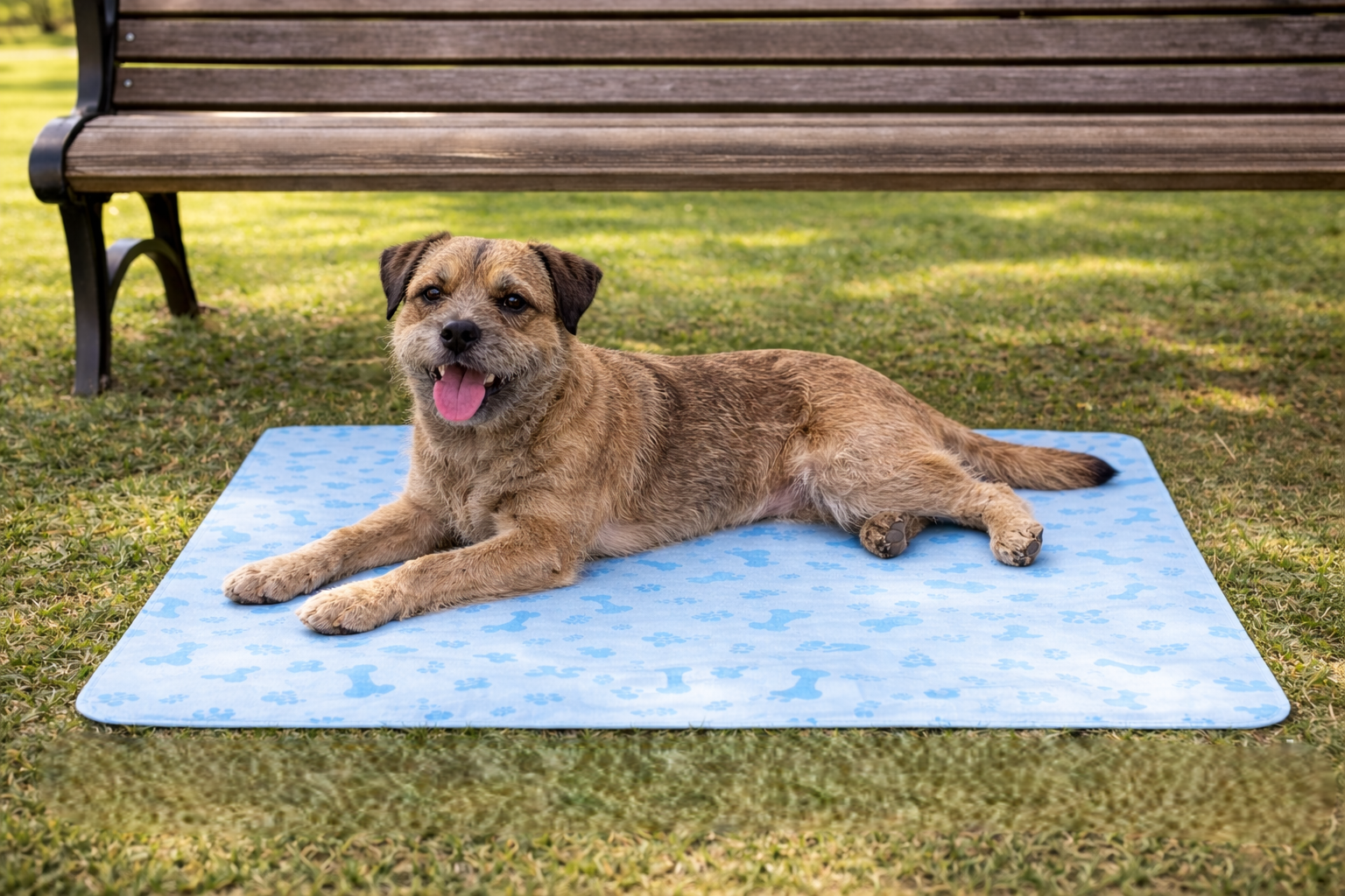 Smart Choice Medium Pet Cooling Mat 60 x 75cm with Blue Paw & Bone Pattern
